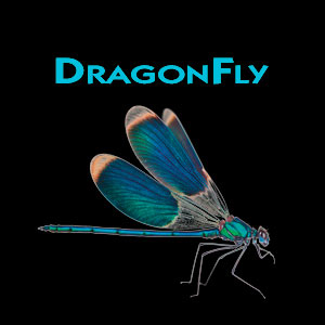 dragonfly_primary